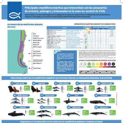 Principales mamíferos marinos que interactúan con las pesquerías de arrastre, palangre y artesanales en la zona sur austral de Chile