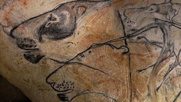 What can Stone Age art tell us about extinct animals?