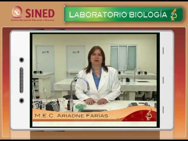 Laboratorio de Biología - Practica 2 - Identificación de compuestos orgánicos