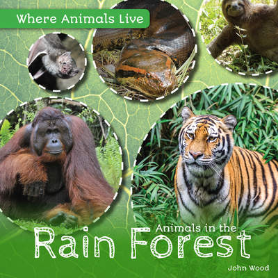 Animals in the Rain Forest