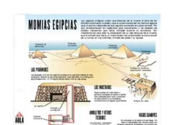 Momias Egipcias