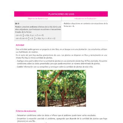 Evaluación Programas - MA07 OA09 - U2 - PLANTACIONES DE UVAS