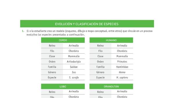 Evaluación Programas - CN1M OA03 - U1 - EVOLUCIÓN Y CLASIFICACIÓN DE ESPECIES
