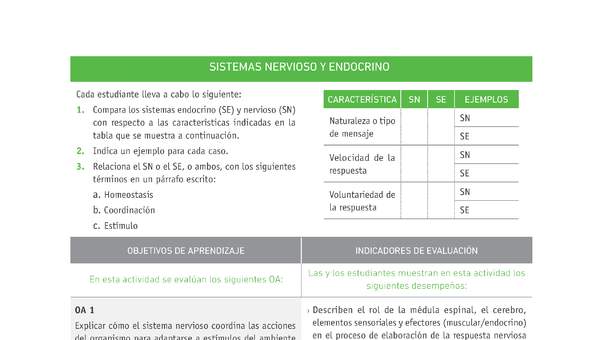 Evaluación Programas - CN2M - OA01 - OA02 - U1 - SISTEMAS NERVIOSO Y ENDOCRINO