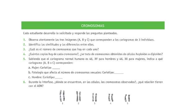 Evaluación Programas - CN2M - OA06 - U3 - CROMOSOMAS