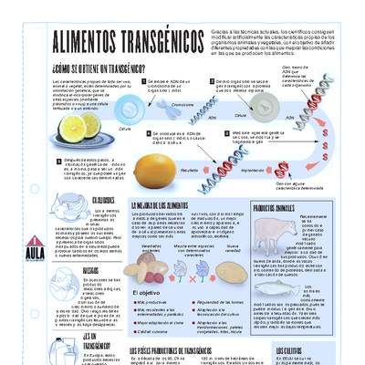 Infografía: Alimentos transgénicos