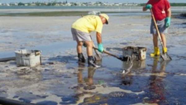 Hombres limpiando derrame de petróleo en la playa
