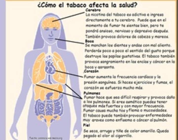 Infografía sobre como el tabaco afecta la salud