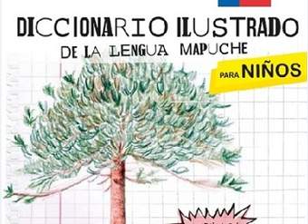 Diccionario Mapuche