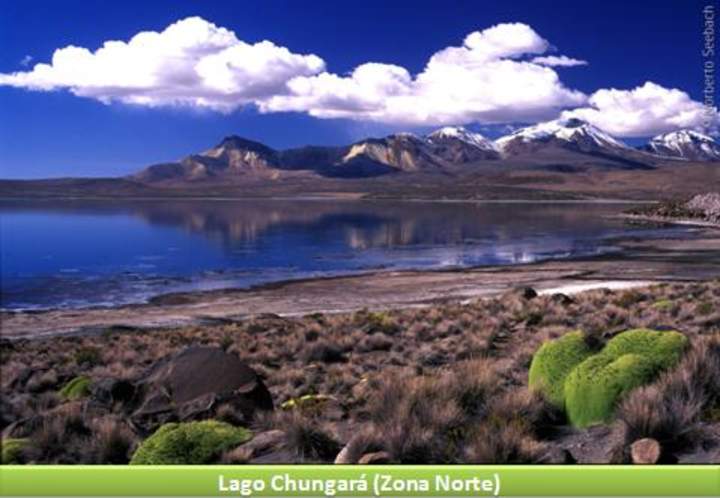 Lago Chungará, Zona Norte