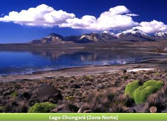 Lago Chungará, Zona Norte