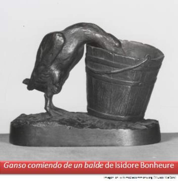  Isidore Bonheure Ganso comiendo de un balde