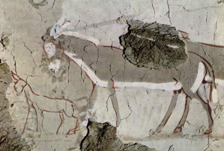 Imagen de burros en mural egipcio