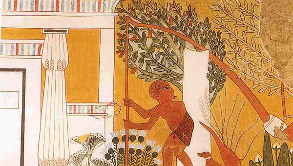 Escena del jardinero utilizando un shaduf, la tumba de Ipuy en Deir el Medina
