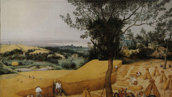 La cosecha de Pieter Brueghel