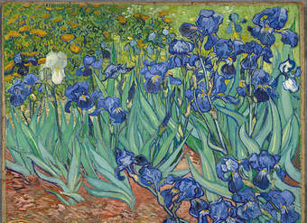 Irises de Vincent Van Gogh