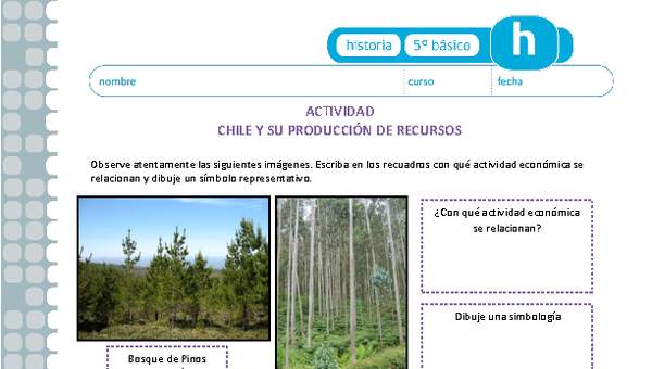Chile y su producción de recursos