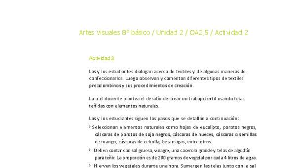 Artes Visuales 8° básico-Unidad 2-OA2;5-Actividad 2