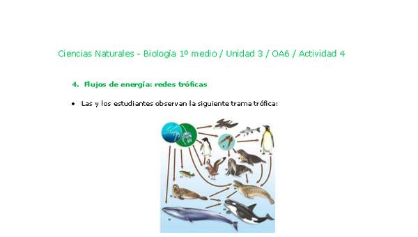 Ciencias Naturales 1 medio-Unidad 3-OA6-Actividad 4