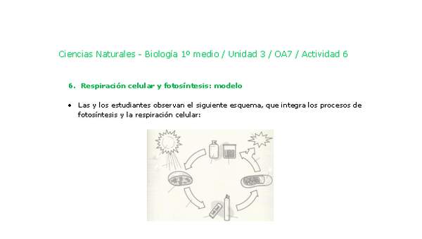 Ciencias Naturales 1 medio-Unidad 3-OA7-Actividad 6