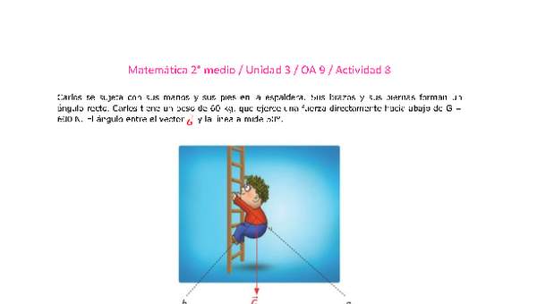 Matemática 2 medio-Unidad 3-OA9-Actividad 8