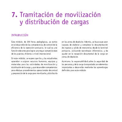 Módulo 07 - Tramitación de movilización y distribución de cargas