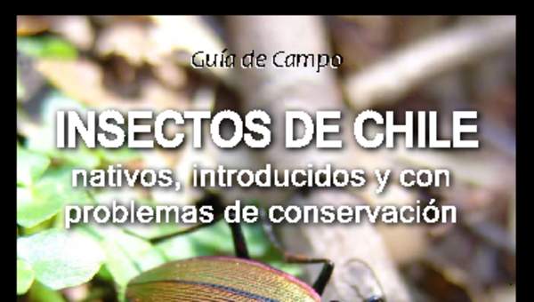 Guía de campo Insectos de Chile - Nativos, introducidos y con problemas de conservación.