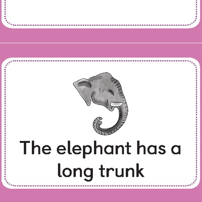 The elephant has a long trunk
