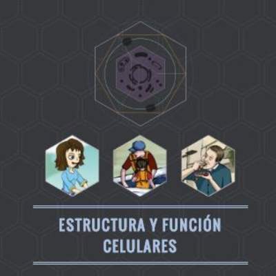 Estructura y función celulares