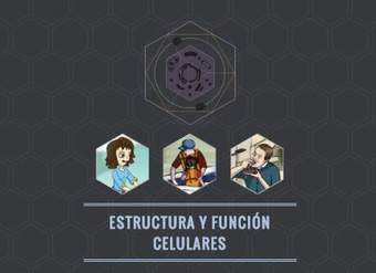 Estructura y función celulares