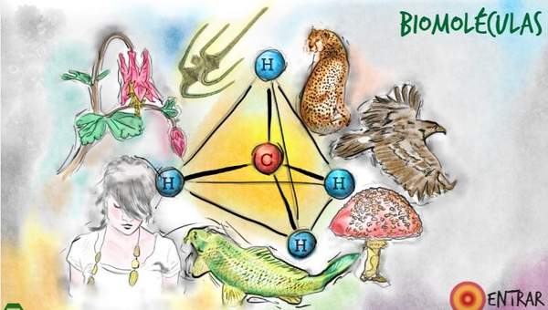 Biomoléculas