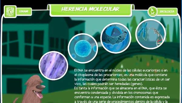 Herencia molecular