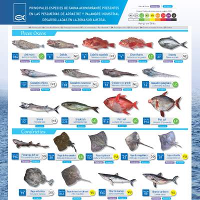Principales especies de fauna acompañante presentes en las pesquerías de arrastre y palangre industrial desarrolladas en la zona sur austral.