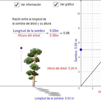 Arbolito: proporcionalidad directa