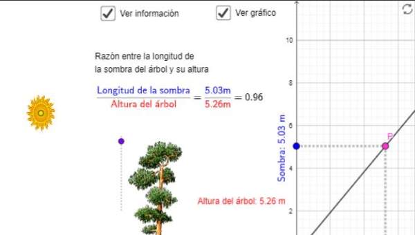 Arbolito: proporcionalidad directa