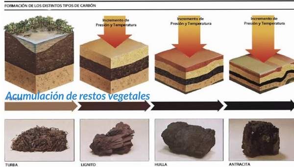 Rocas sedimentarias