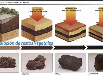 Rocas sedimentarias