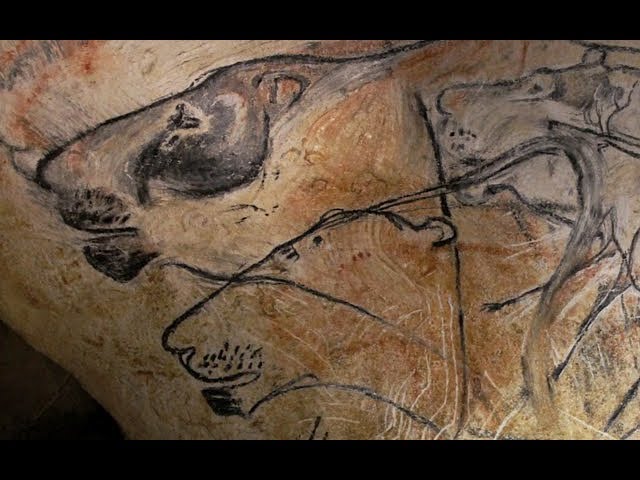 What can Stone Age art tell us about extinct animals?