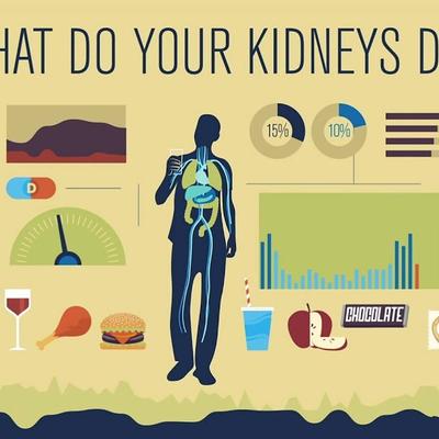 How do your kidneys work? - Emma Bryce