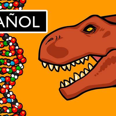 ¿Qué es el ADN y Cómo Funciona?