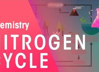 The Nitrogen Cycle | Chemistry for All | FuseSchool
