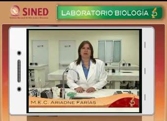 Laboratorio de Biología - Practica 2 - Identificación de compuestos orgánicos
