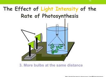 IGCSE 2.10. Rate limiting factors in photosynthesis.  Ms Cooper