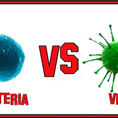 La Diferencia Entre Bacteria y Virus.