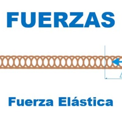 Fuerza elástica