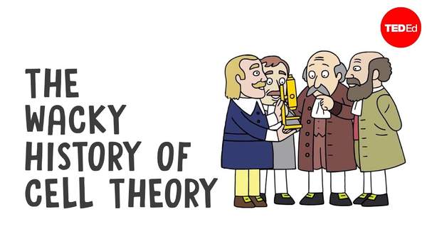 The wacky history of cell theory - Lauren Royal-Woods