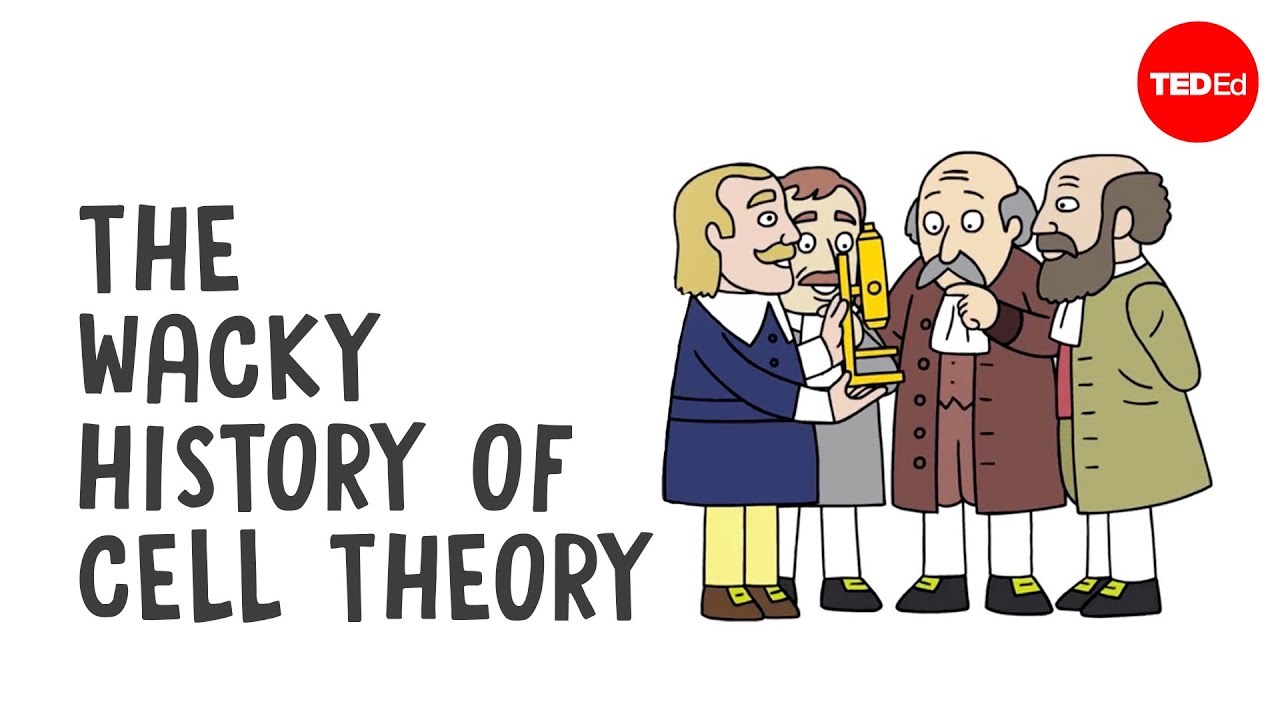 The wacky history of cell theory - Lauren Royal-Woods