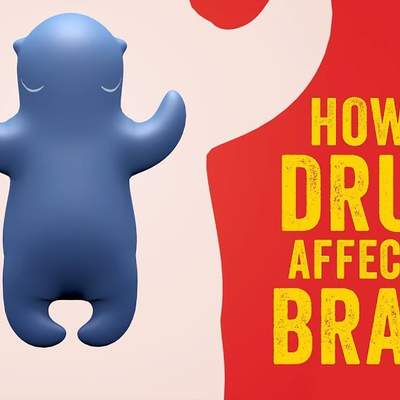 How do drugs affect the brain? - Sara Garofalo