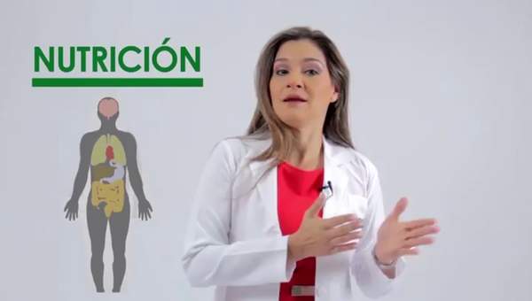 Nutrición: ¿Qué es la nutrición?