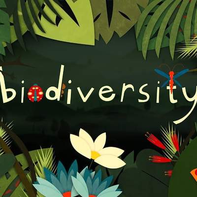 Why is biodiversity so important? - Kim Preshoff